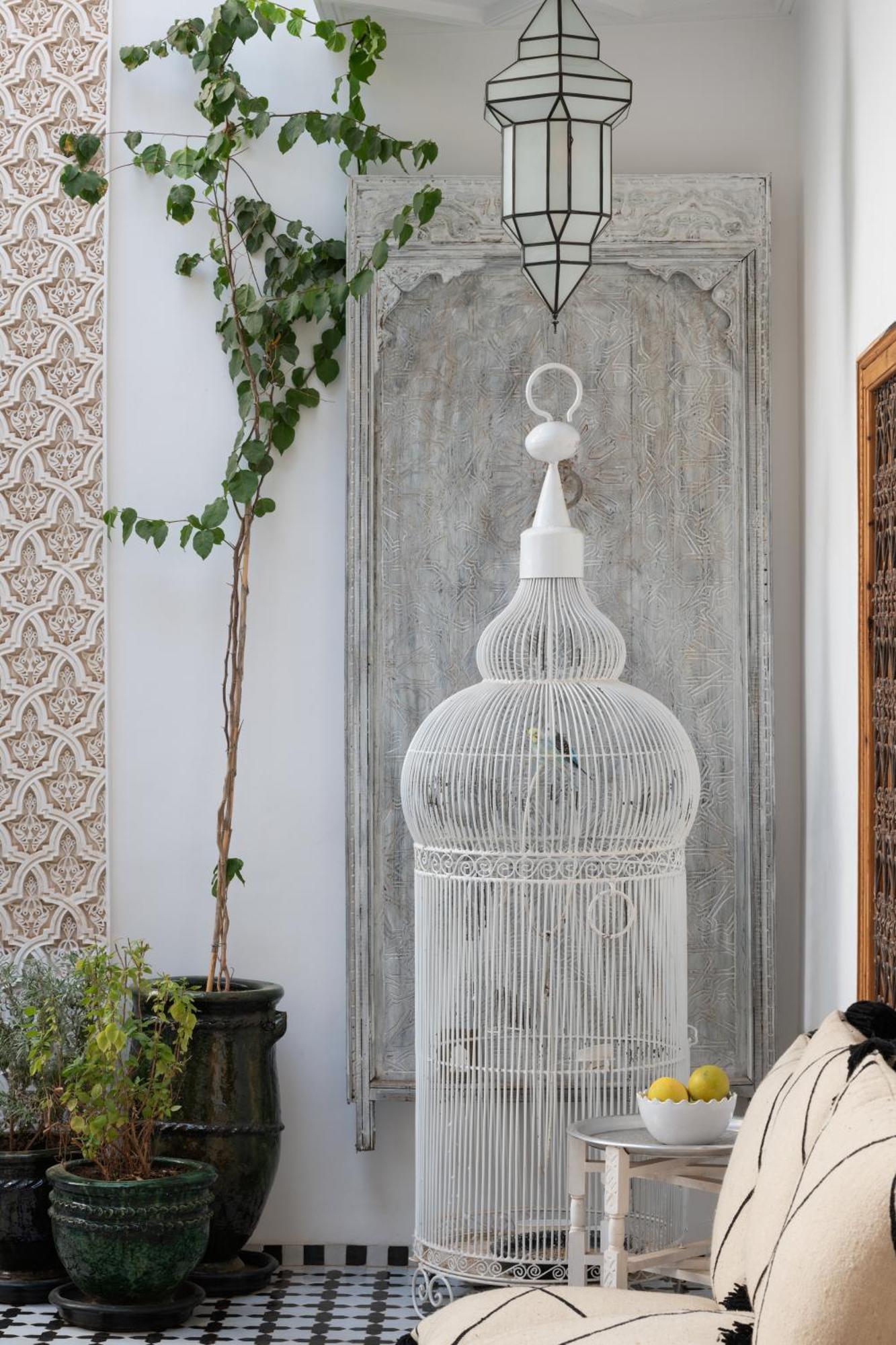 Riad Botanica Μαρακές Εξωτερικό φωτογραφία